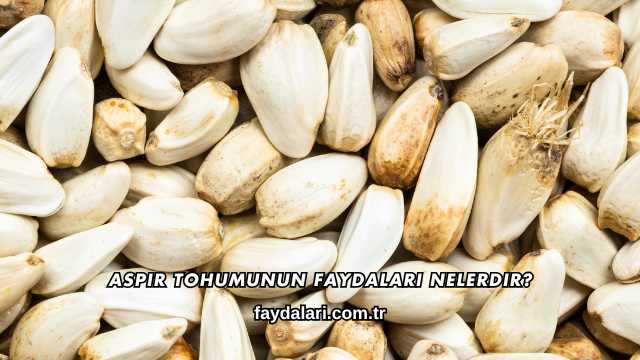 Aspir Tohumunun Faydaları Nelerdir?