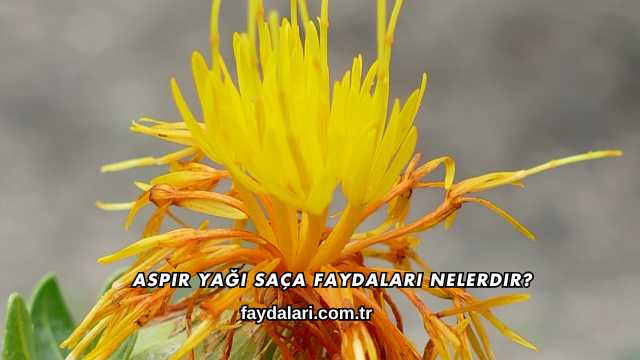 Aspir Yağı Saça Faydaları Nelerdir?