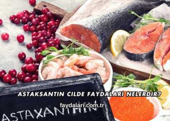 Astaksantin Cilde Faydaları Nelerdir?