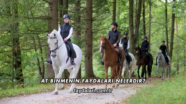 At Binmenin Faydaları Nelerdir?
