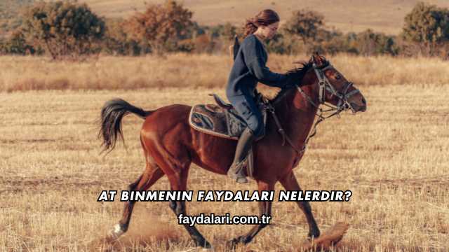 At Binmenin Faydaları Nelerdir?