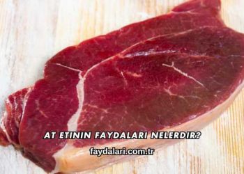 At Etinin Faydaları Nelerdir?