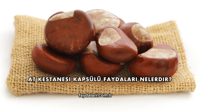 At Kestanesi Kapsülü Faydaları Nelerdir?