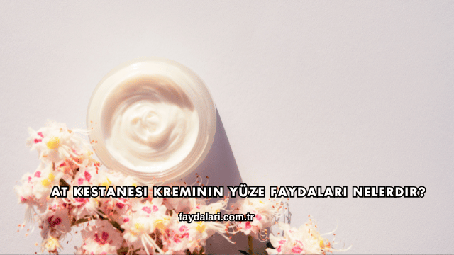 At Kestanesi Kreminin Yüze Faydaları Nelerdir?