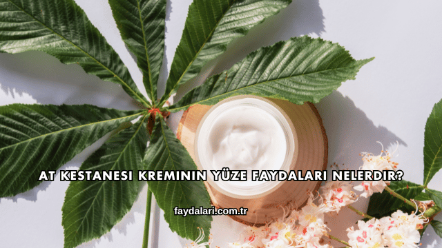 At Kestanesi Kreminin Yüze Faydaları Nelerdir?
