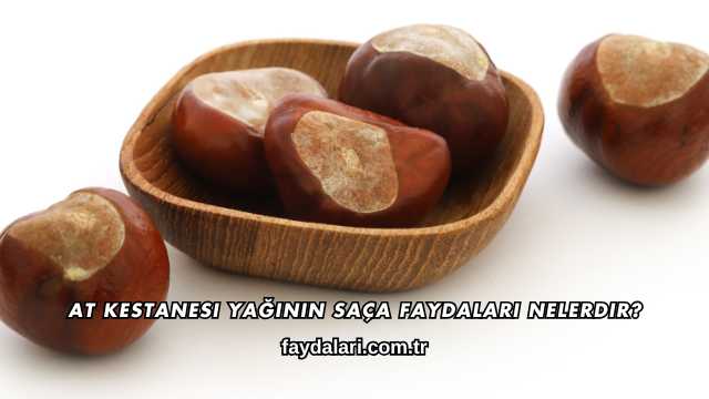 At Kestanesi Yağının Saça Faydaları Nelerdir?