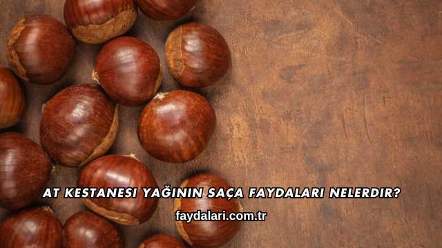 At Kestanesi Yağının Saça Faydaları Nelerdir?