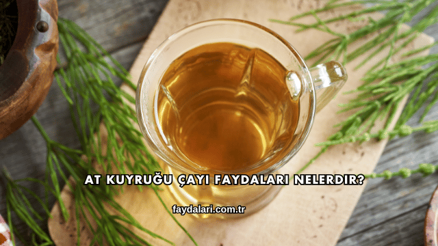 At Kuyruğu Çayı Faydaları Nelerdir?