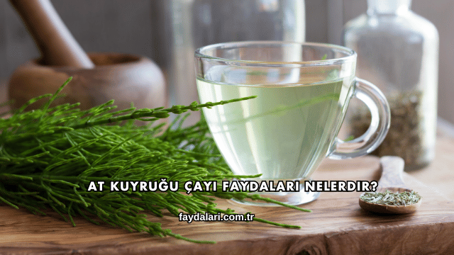 At Kuyruğu Çayı Faydaları Nelerdir?