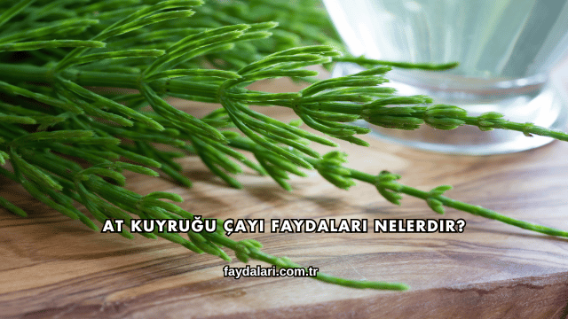 At Kuyruğu Çayı Faydaları Nelerdir?