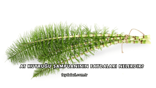 At Kuyruğu Şampuanının Faydaları Nelerdir?
