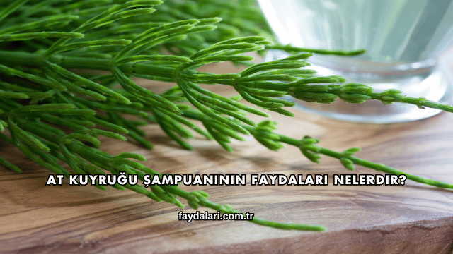 At Kuyruğu Şampuanının Faydaları Nelerdir?