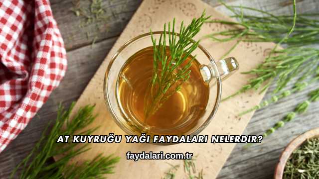 At Kuyruğu Yağı Faydaları Nelerdir?