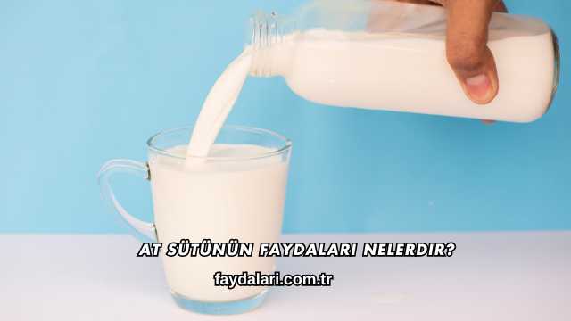 At Sütünün Faydaları Nelerdir?