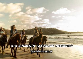 Ata Binmenin Faydaları Nelerdir?