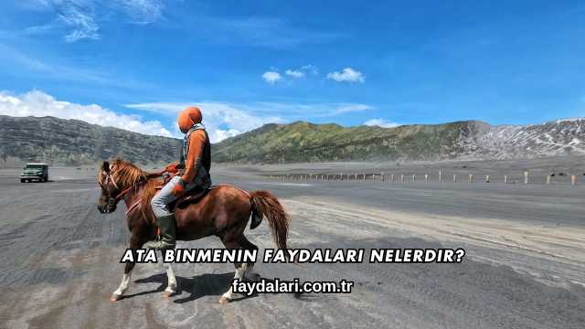Ata Binmenin Faydaları Nelerdir?