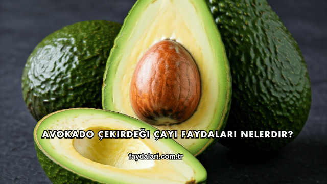 Avokado Çekirdeği Çayı Faydaları Nelerdir?