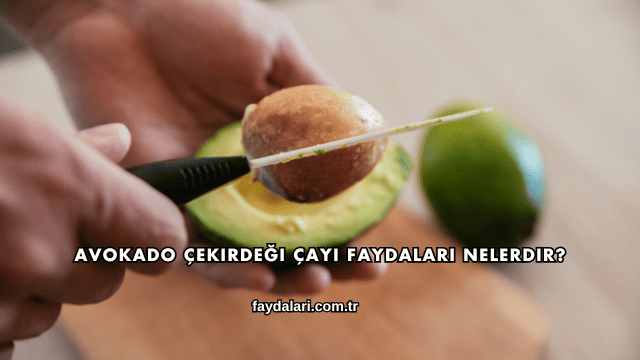 Avokado Çekirdeği Çayı Faydaları Nelerdir?