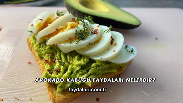 Avokado Kabuğu Faydaları Nelerdir?