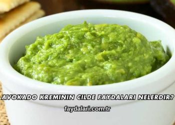 Avokado Kreminin Cilde Faydaları Nelerdir?