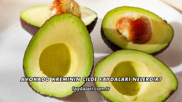 Avokado Kreminin Cilde Faydaları Nelerdir?