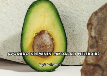 Avokado Kreminin Faydaları Nelerdir?
