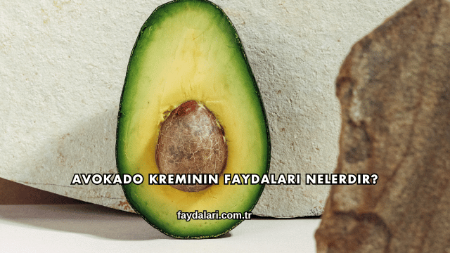 Avokado Kreminin Faydaları Nelerdir?