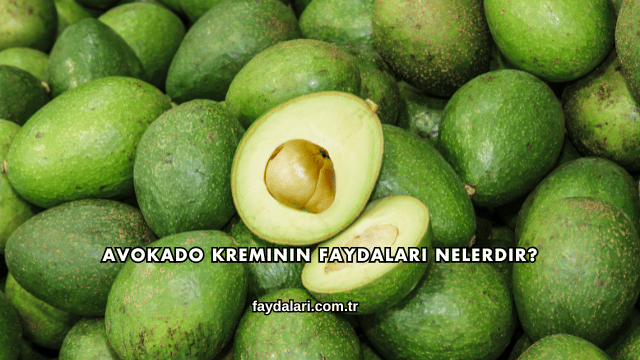 Avokado Kreminin Faydaları Nelerdir?