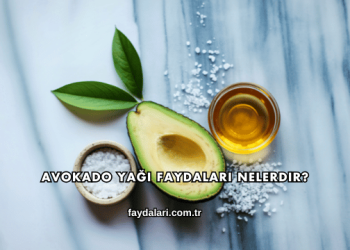 Avokado Yağı Faydaları Nelerdir?