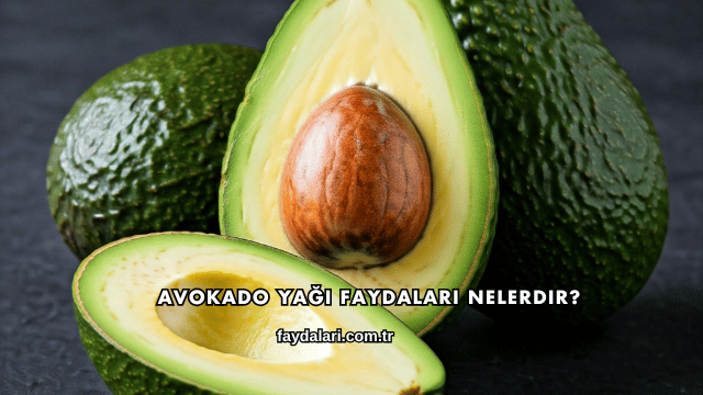 Avokado Yağı Faydaları Nelerdir?