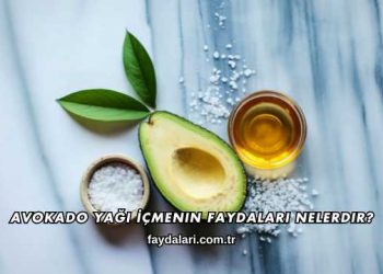 Avokado Yağı İçmenin Faydaları Nelerdir?