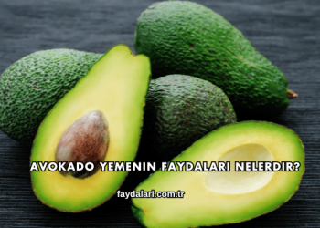 Avokado Yemenin Faydaları Nelerdir?