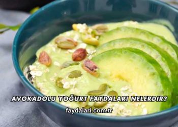 Avokadolu Yoğurt Faydaları Nelerdir?