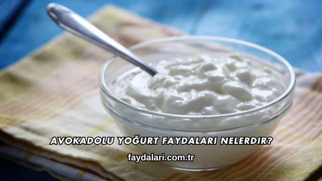 Avokadolu Yoğurt Faydaları Nelerdir?