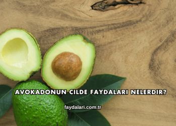 Avokadonun Cilde Faydaları Nelerdir?