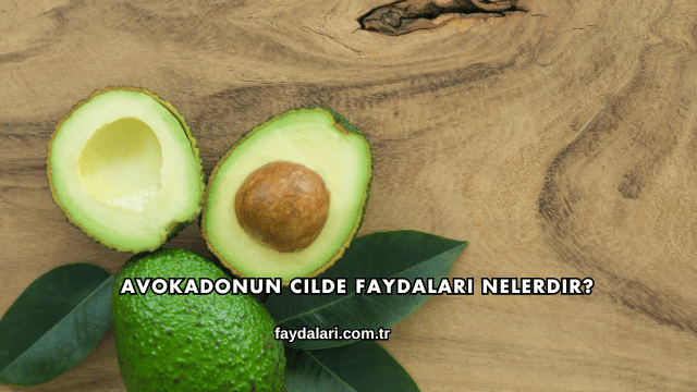 Avokadonun Cilde Faydaları Nelerdir?
