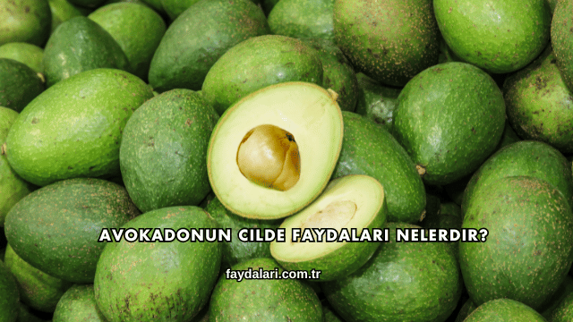 Avokadonun Cilde Faydaları Nelerdir?