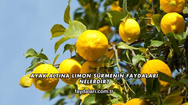 Ayak Altına Limon Sürmenin Faydaları Nelerdir?