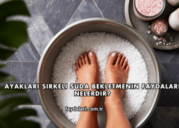Ayakları Sirkeli Suda Bekletmenin Faydaları Nelerdir?
