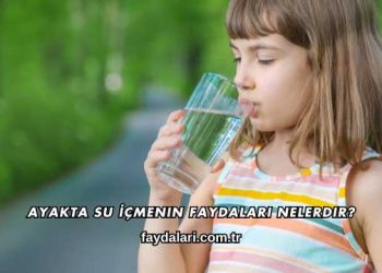 Ayakta Su İçmenin Faydaları Nelerdir?