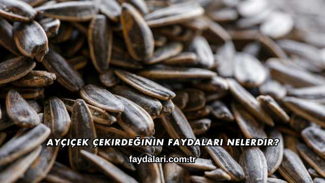 Ayçiçek Çekirdeğinin Faydaları Nelerdir?