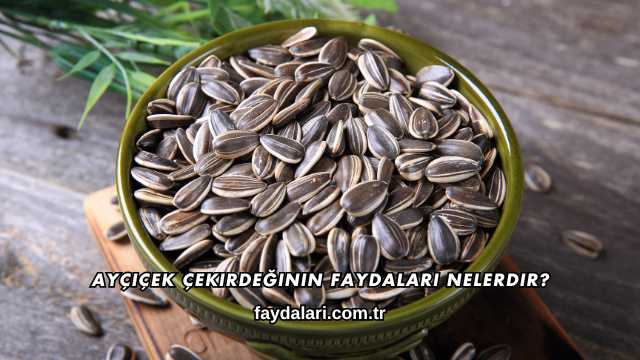 Ayçiçek Çekirdeğinin Faydaları Nelerdir?