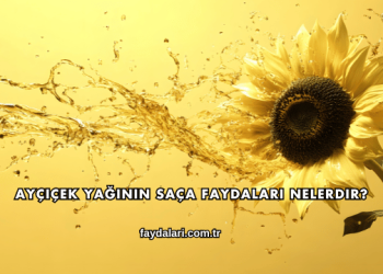 Ayçiçek Yağının Saça Faydaları Nelerdir?
