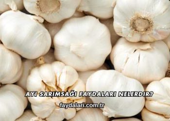 Ayı Sarımsağı Faydaları Nelerdir?