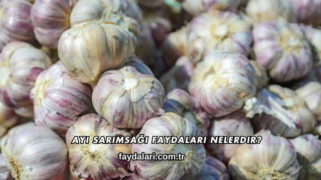 Ayı Sarımsağı Faydaları Nelerdir?