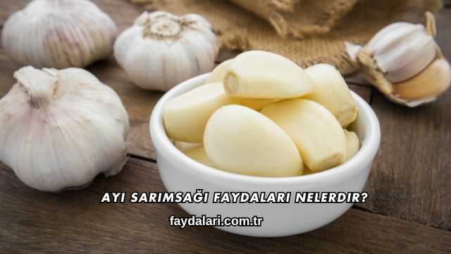 Ayı Sarımsağı Faydaları Nelerdir?