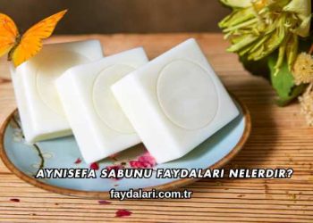 Aynısefa Sabunu Faydaları Nelerdir?