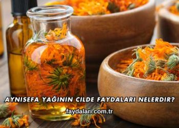 Aynısefa Yağının Cilde Faydaları Nelerdir?