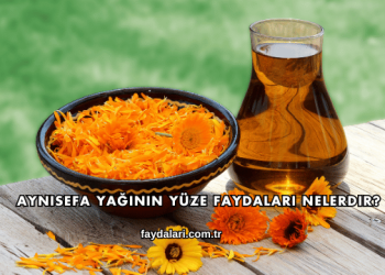 Aynısefa Yağının Yüze Faydaları Nelerdir?