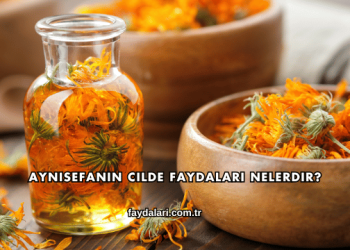 Aynısefanın Cilde Faydaları Nelerdir?